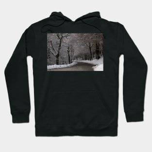 Snow covered woodland tree tunnel over road Hoodie